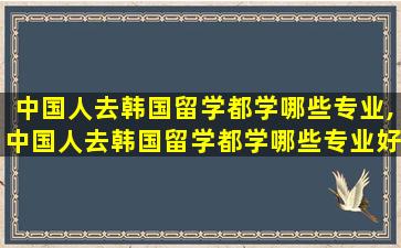 中国人去韩国留学都学哪些专业,中国人去韩国留学都学哪些专业好