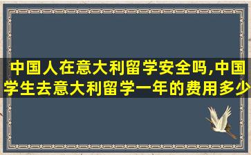 中国人在意大利留学安全吗,中国学生去意大利留学一年的费用多少