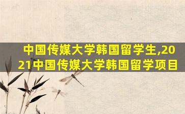 中国传媒大学韩国留学生,2021中国传媒大学韩国留学项目
