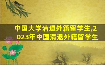 中国大学清退外籍留学生,2023年中国清退外籍留学生