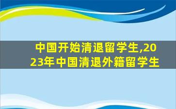 中国开始清退留学生,2023年中国清退外籍留学生