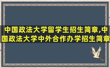 中国政法大学留学生招生简章,中国政法大学中外合作办学招生简章