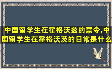 中国留学生在霍格沃兹的禁令,中国留学生在霍格沃茨的日常是什么样的