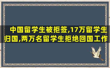 中国留学生被拒签,17万留学生归国,两万名留学生拒绝回国工作