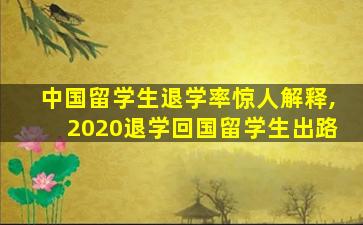 中国留学生退学率惊人解释,2020退学回国留学生出路