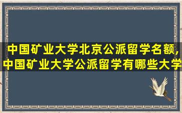 中国矿业大学北京公派留学名额,中国矿业大学公派留学有哪些大学