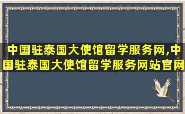 中国驻泰国大使馆留学服务网,中国驻泰国大使馆留学服务网站官网