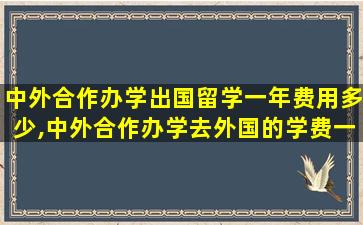 中外合作办学出国留学一年费用多少,中外合作办学去外国的学费一般是多少