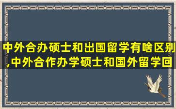 中外合办硕士和出国留学有啥区别,中外合作办学硕士和国外留学回来的区别