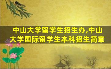 中山大学留学生招生办,中山大学国际留学生本科招生简章