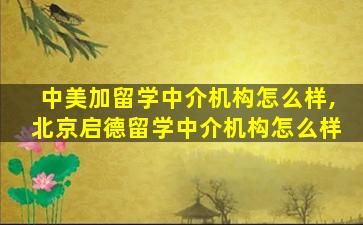 中美加留学中介机构怎么样,北京启德留学中介机构怎么样