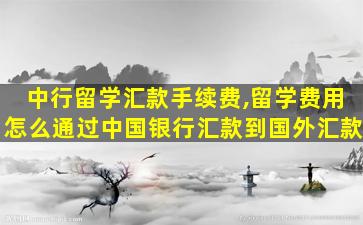 中行留学汇款手续费,留学费用怎么通过中国银行汇款到国外汇款