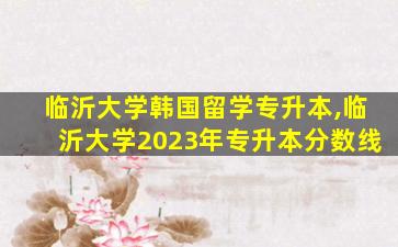 临沂大学韩国留学专升本,临沂大学2023年专升本分数线