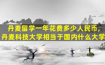 丹麦留学一年花费多少人民币,丹麦科技大学相当于国内什么大学