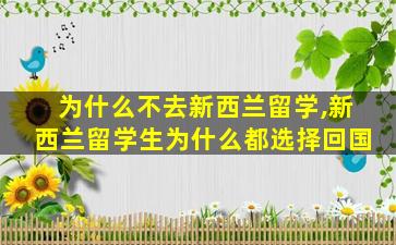 为什么不去新西兰留学,新西兰留学生为什么都选择回国