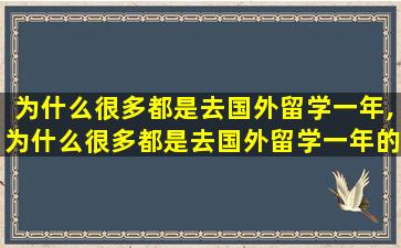 为什么很多都是去国外留学一年,为什么很多都是去国外留学一年的人