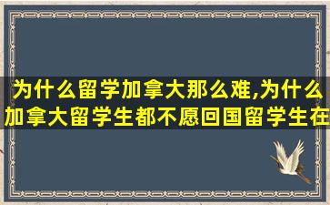 为什么留学加拿大那么难,为什么加拿大留学生都不愿回国留学生在加拿大