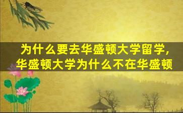 为什么要去华盛顿大学留学,华盛顿大学为什么不在华盛顿