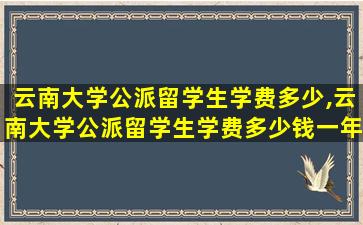 云南大学公派留学生学费多少,云南大学公派留学生学费多少钱一年