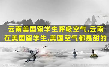 云南美国留学生呼吸空气,云南在美国留学生,美国空气都是甜的