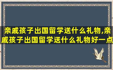 亲戚孩子出国留学送什么礼物,亲戚孩子出国留学送什么礼物好一点