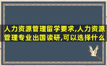 人力资源管理留学要求,人力资源管理专业出国读研,可以选择什么方向