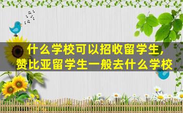 什么学校可以招收留学生,赞比亚留学生一般去什么学校