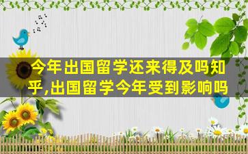 今年出国留学还来得及吗知乎,出国留学今年受到影响吗