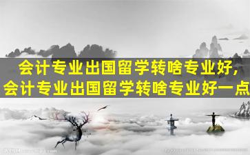 会计专业出国留学转啥专业好,会计专业出国留学转啥专业好一点