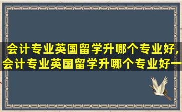 会计专业英国留学升哪个专业好,会计专业英国留学升哪个专业好一点