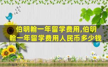 伯明翰一年留学费用,伯明翰一年留学费用人民币多少钱