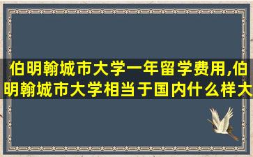 伯明翰城市大学一年留学费用,伯明翰城市大学相当于国内什么样大学