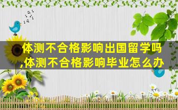 体测不合格影响出国留学吗,体测不合格影响毕业怎么办