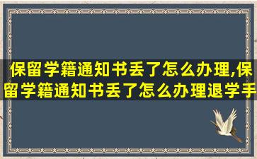 保留学籍通知书丢了怎么办理,保留学籍通知书丢了怎么办理退学手续