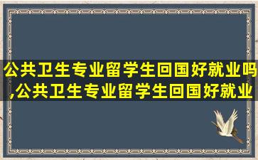 公共卫生专业留学生回国好就业吗,公共卫生专业留学生回国好就业吗女生