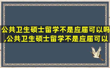 公共卫生硕士留学不是应届可以吗,公共卫生硕士留学不是应届可以吗知乎