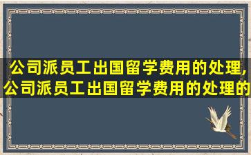 公司派员工出国留学费用的处理,公司派员工出国留学费用的处理的相关件