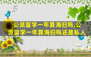 公派留学一年算海归吗,公派留学一年算海归吗还是私人