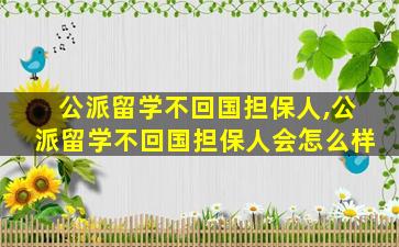 公派留学不回国担保人,公派留学不回国担保人会怎么样