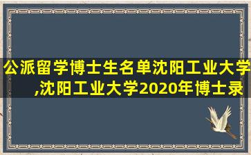 公派留学博士生名单沈阳工业大学,沈阳工业大学2020年博士录取