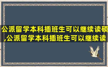 公派留学本科插班生可以继续读硕,公派留学本科插班生可以继续读硕士吗