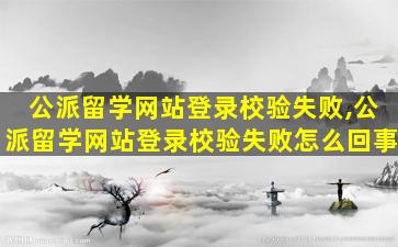 公派留学网站登录校验失败,公派留学网站登录校验失败怎么回事