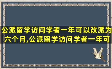 公派留学访问学者一年可以改派为六个月,公派留学访问学者一年可以改派为六个月吗