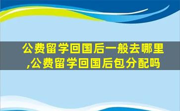 公费留学回国后一般去哪里,公费留学回国后包分配吗