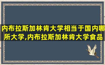 内布拉斯加林肯大学相当于国内哪所大学,内布拉斯加林肯大学食品科学与工程排名