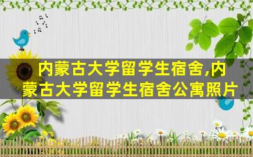 内蒙古大学留学生宿舍,内蒙古大学留学生宿舍公寓照片