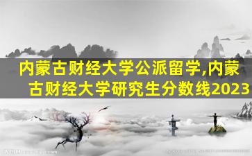 内蒙古财经大学公派留学,内蒙古财经大学研究生分数线2023