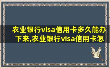 农业银行visa信用卡多久能办下来,农业银行visa信用卡怎么样