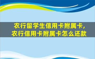 农行留学生信用卡附属卡,农行信用卡附属卡怎么还款