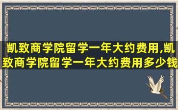 凯致商学院留学一年大约费用,凯致商学院留学一年大约费用多少钱